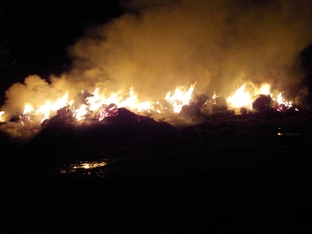 В Малых Бортниках под Бобруйском горело 15 тонн сена