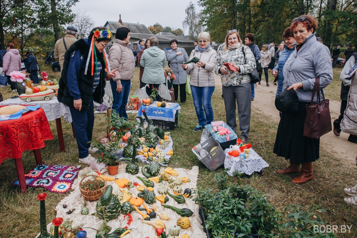 В деревне Глуша прошла ярмарка “Глушанскi хутарок” В деревне Глуша прошла ярмарка “Глушанскi хутарок”
