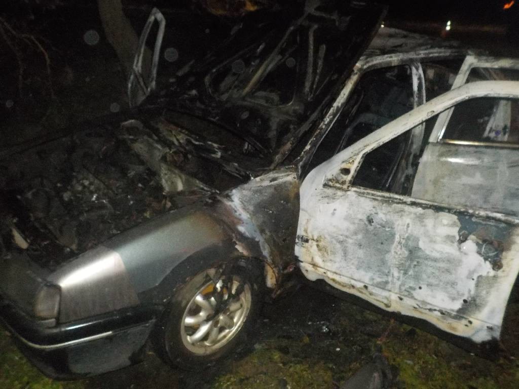 В Бобруйском районе сгорел автомобиль