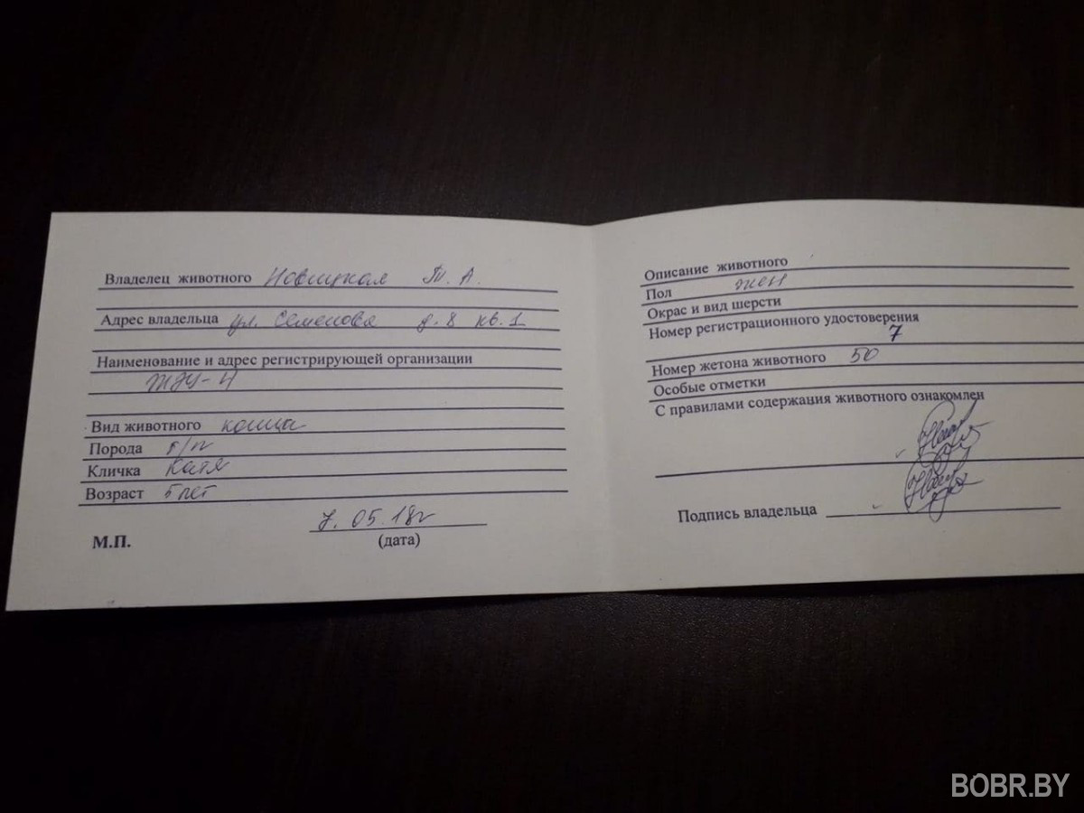Бобруйчанка уже больше двух лет платит за владение животными, которых у нее нет Бобруйчанка уже больше двух лет платит за владение животными, которых у нее нет