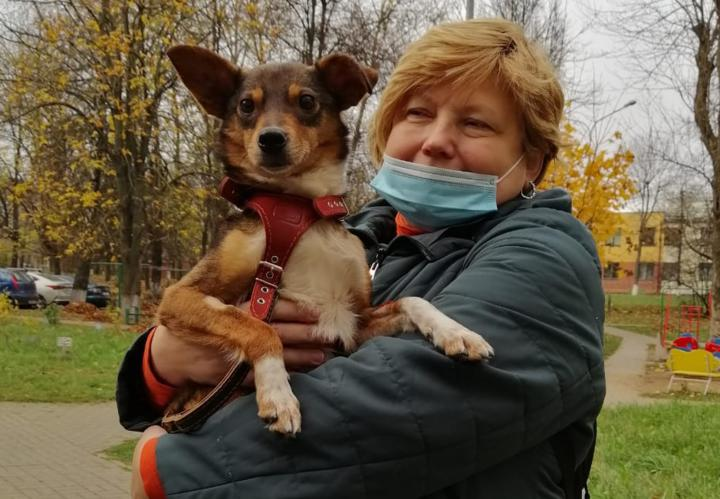 Пес из Бобруйска, который провел 1,5 месяца в закрытом доме с умершей хозяйкой, обрел семью Пес из Бобруйска, который провел 1,5 месяца в закрытом доме с умершей хозяйкой, обрел семью