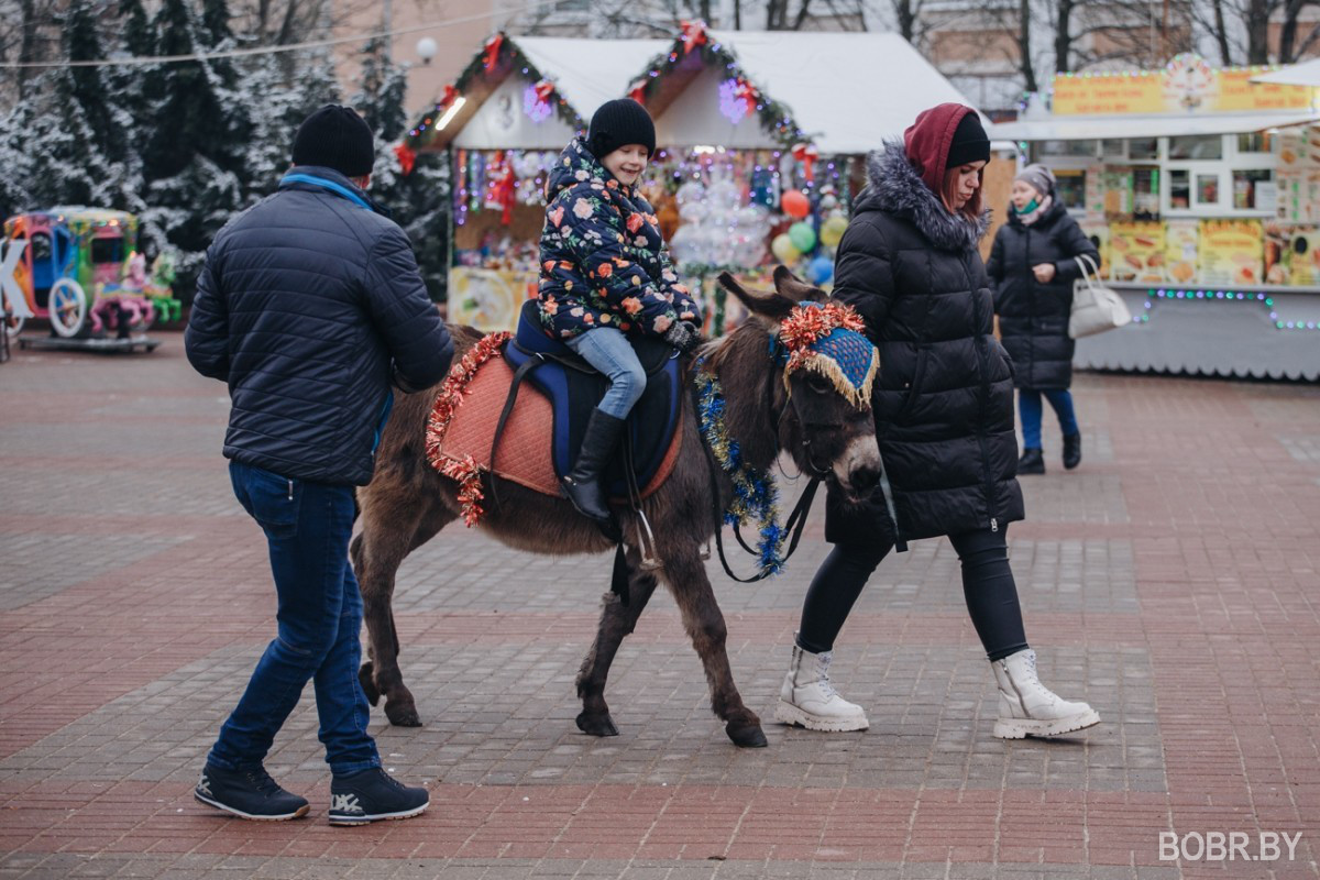 Рождественская прогулка по городу: что делали бобруйчане в праздник Рождества Христова? Рождественская прогулка по городу: что делали бобруйчане в праздник Рождества Христова?