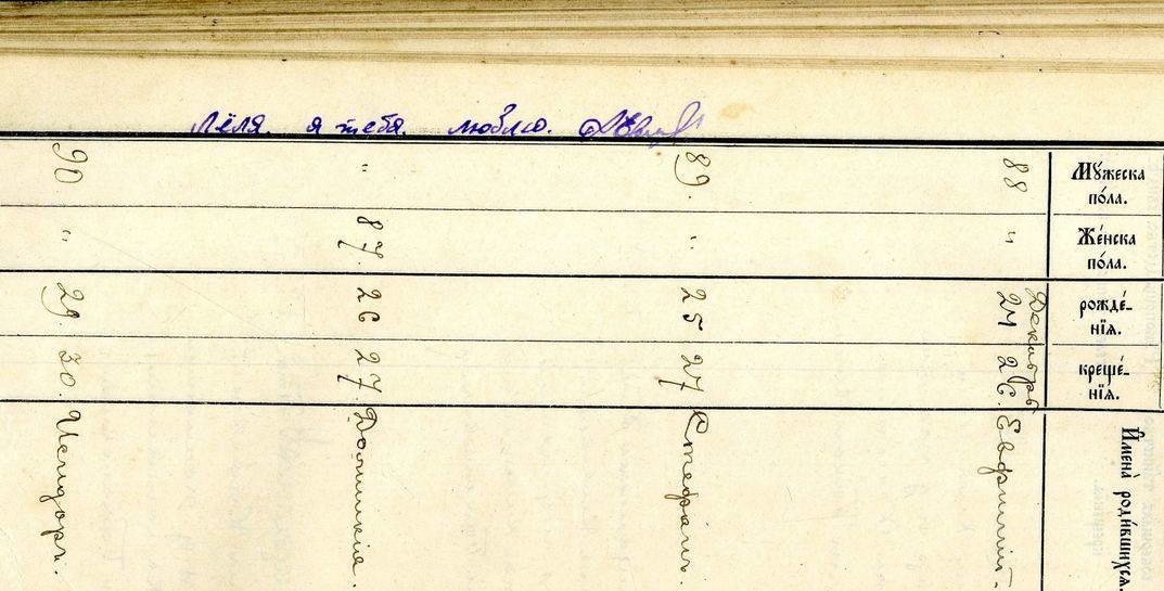 Интересные надписи нашли специалисты Национального исторического архива на документах Могилевского и Бобруйского уездов Интересные надписи нашли специалисты Национального исторического архива на документах Могилевского и Бобруйского уездов