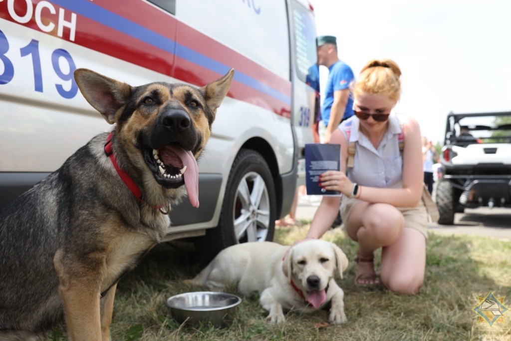 «Квест МЧС», поисковые собаки и выступления спортсменов: спасатели приняли участие в «Вытокi. Крок да Алiмпу»