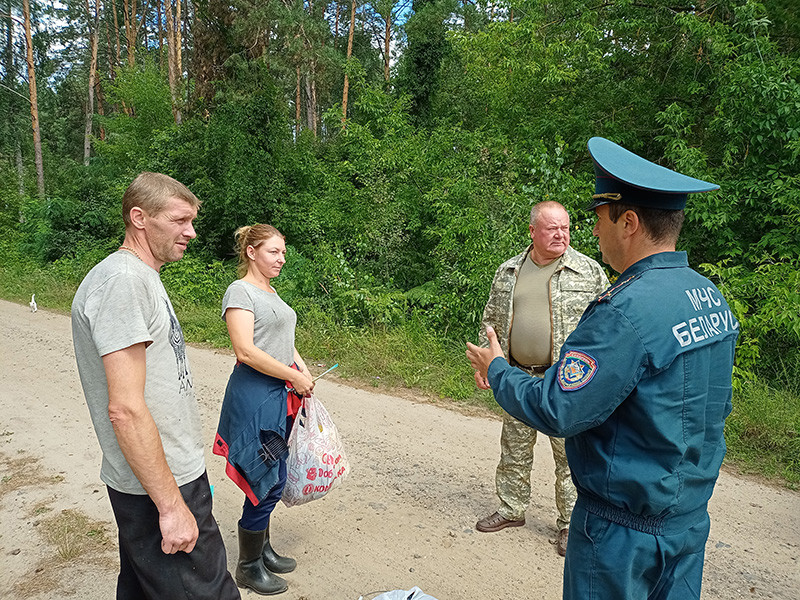 Спасатели Бобруйска вместе с представителями лесного хозяйства посетили самые популярные места для сбора ягод в районе.