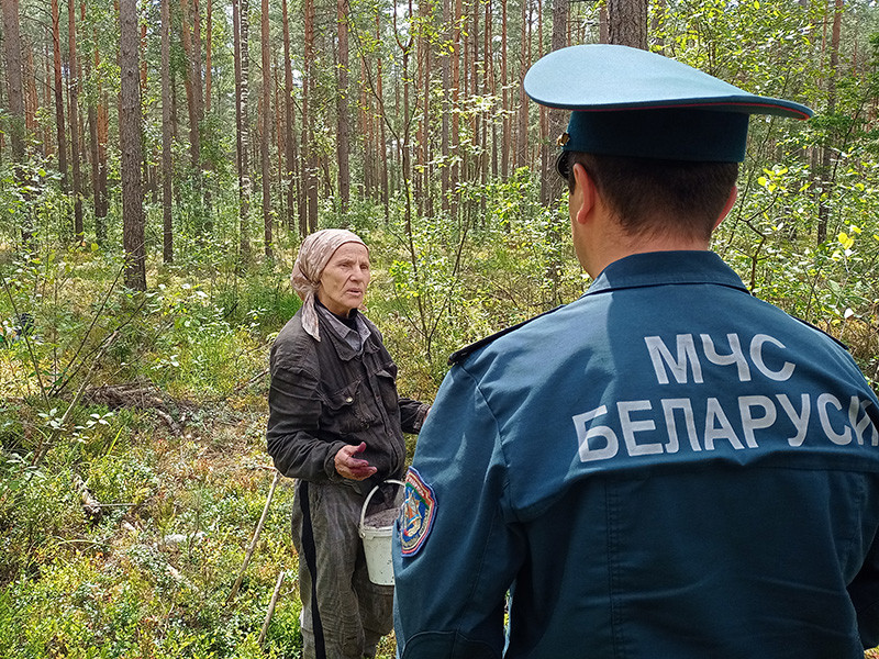 Спасатели Бобруйска вместе с представителями лесного хозяйства посетили самые популярные места для сбора ягод в районе.