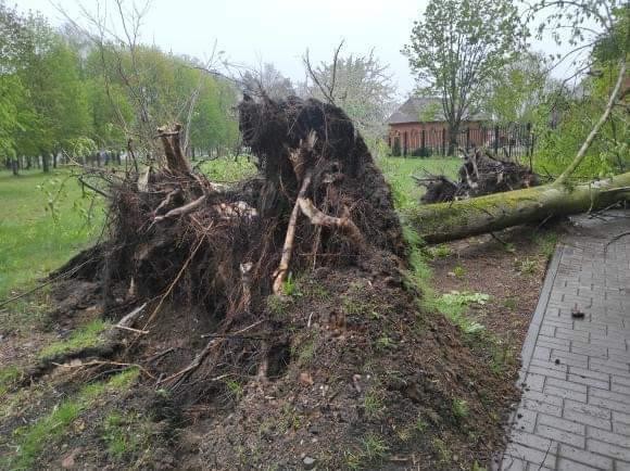 Последствия майской непогоды в Бобруйске