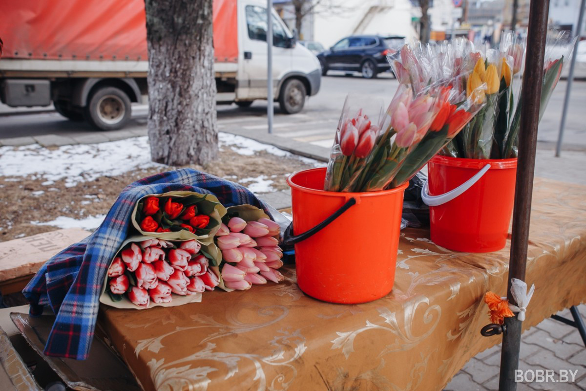 Букет к празднику: в Бобруйске начали работу ярмарки тюльпанов