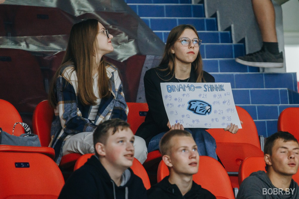 «Динамо-Шинник» потерпел второе поражение в регулярном чемпионате МХЛ