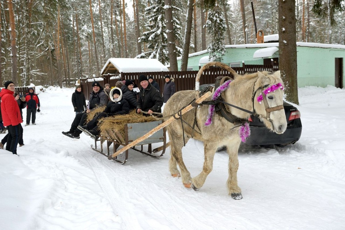 Посмотрите, как в Бобруйском районе прошел спортивный зимний праздник