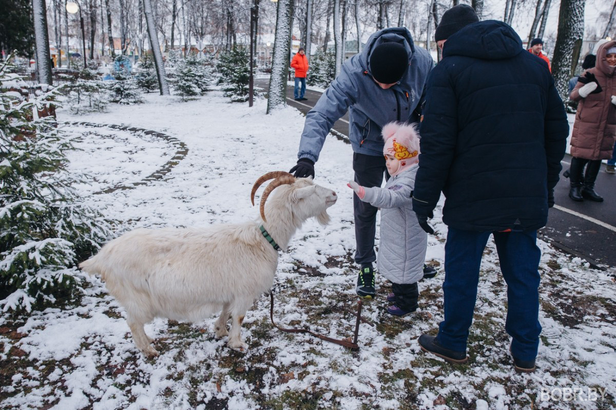 Маленькие бобруйчане спасали Новый год в детском парке