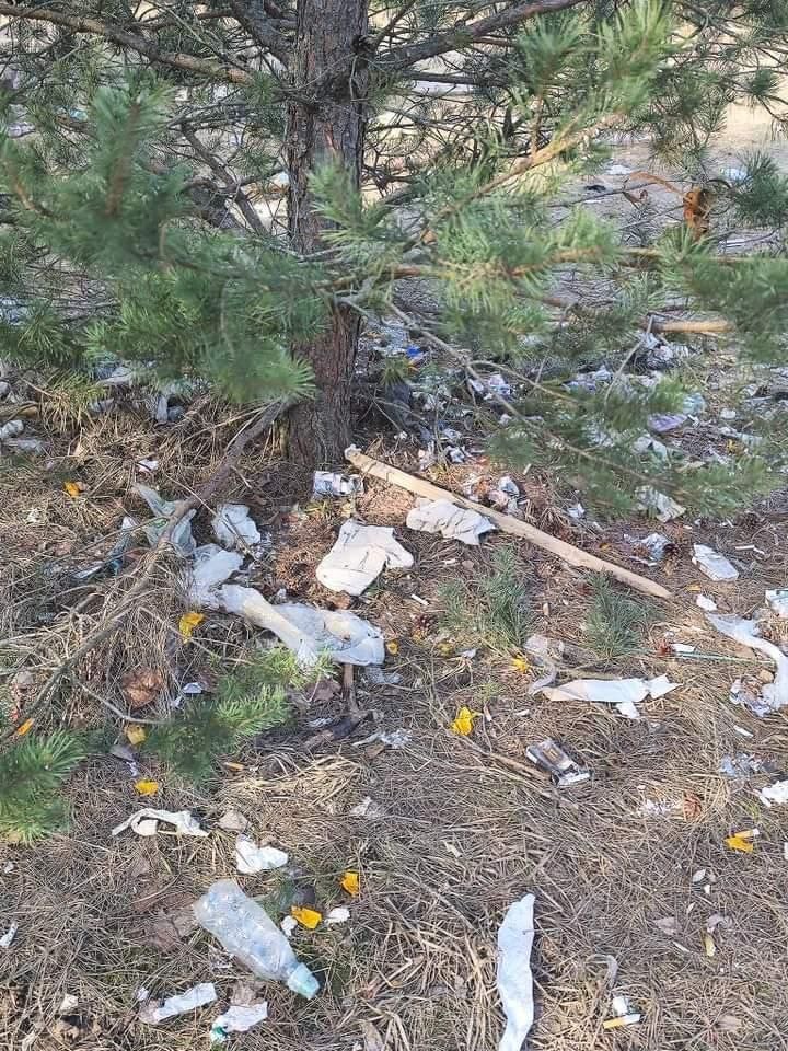 Фотофакт: В лесопосадке в Киселевичах несколько месяцев лежит строительный мусор