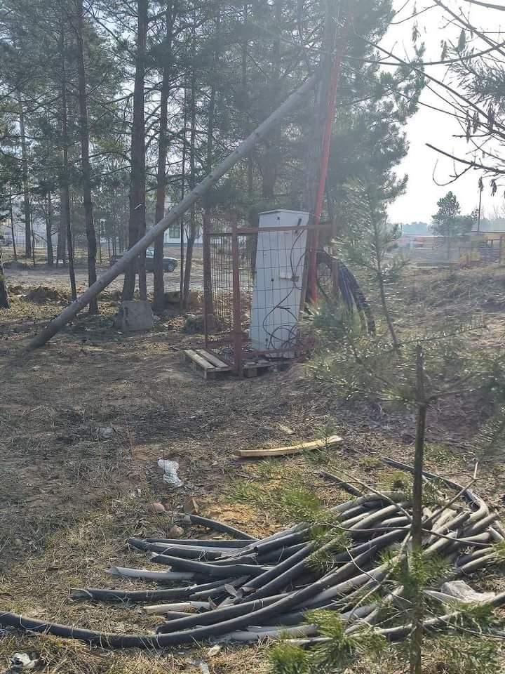 Фотофакт: В лесопосадке в Киселевичах несколько месяцев лежит строительный мусор