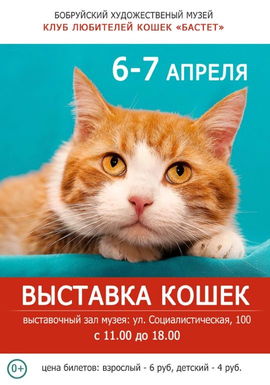 С 6 по 7 апреля в выставочном зале Бобруйского художественного музея пройдет выставка кошек клуба «Бастет».