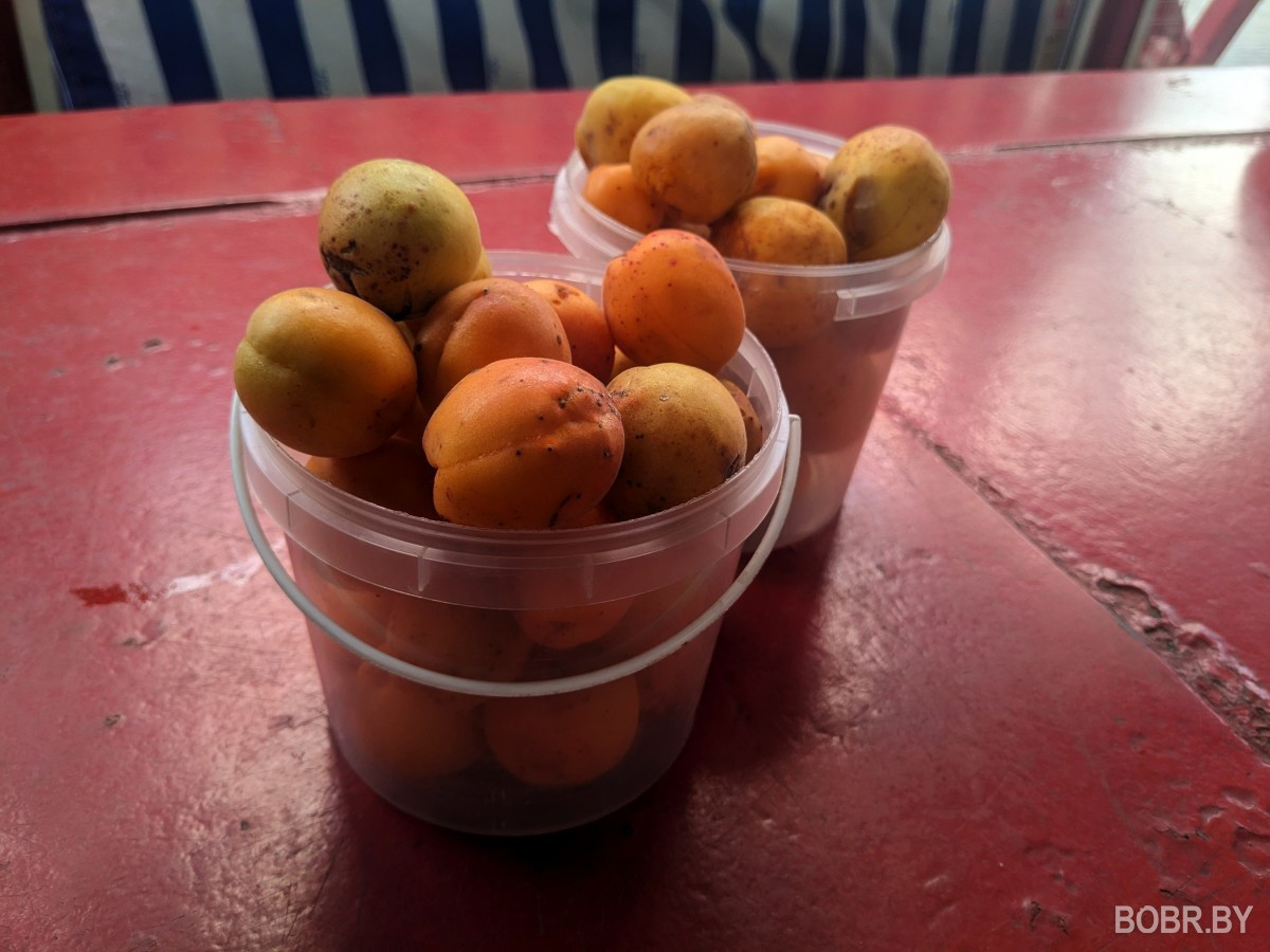 Бобруйские абрикосы