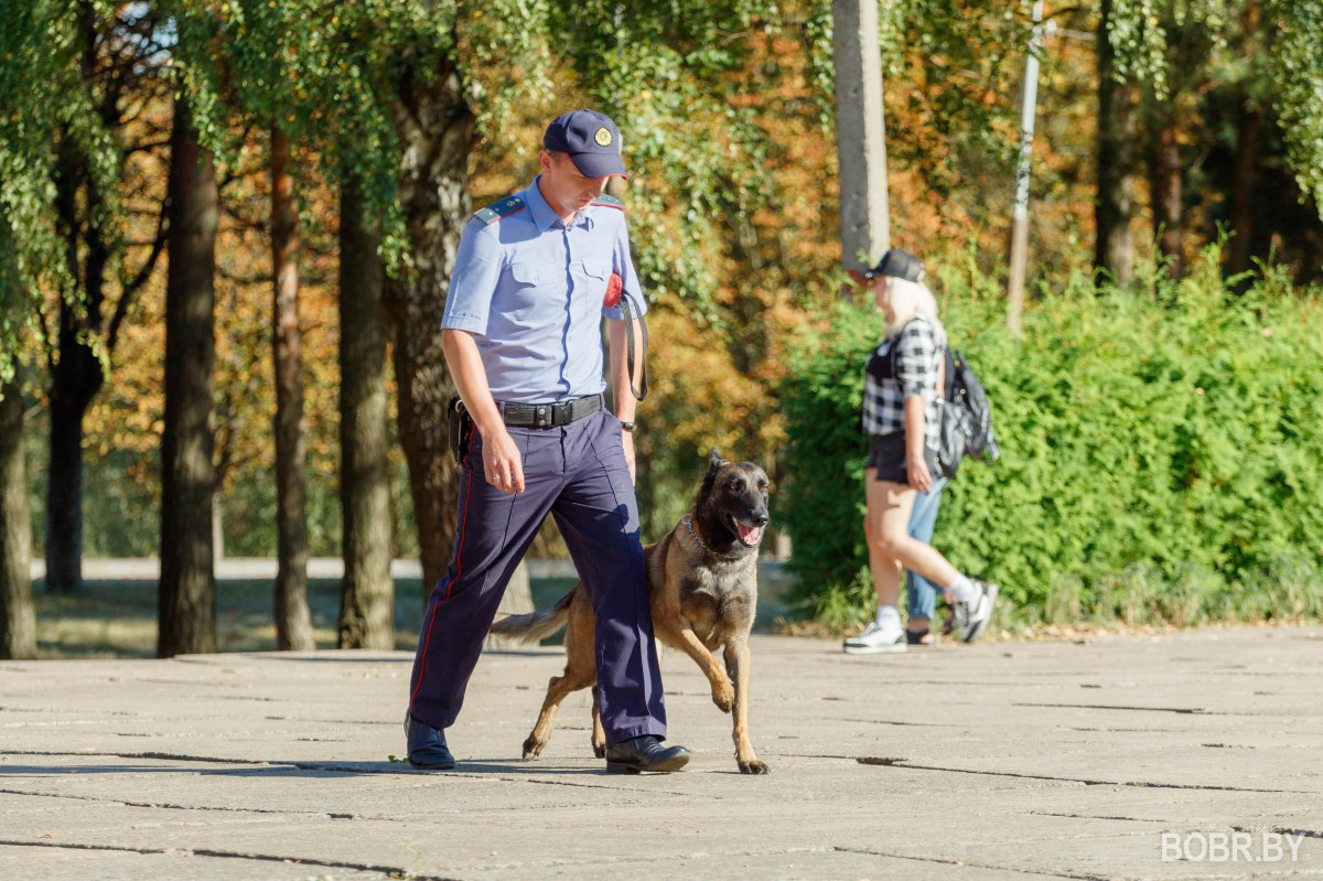 В Бобруйске отпразновали День танкиста. Фоторепортаж