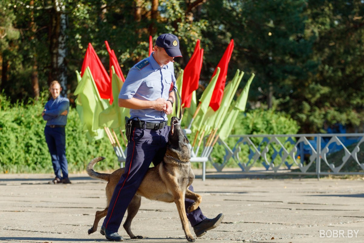 В Бобруйске отпразновали День танкиста. Фоторепортаж