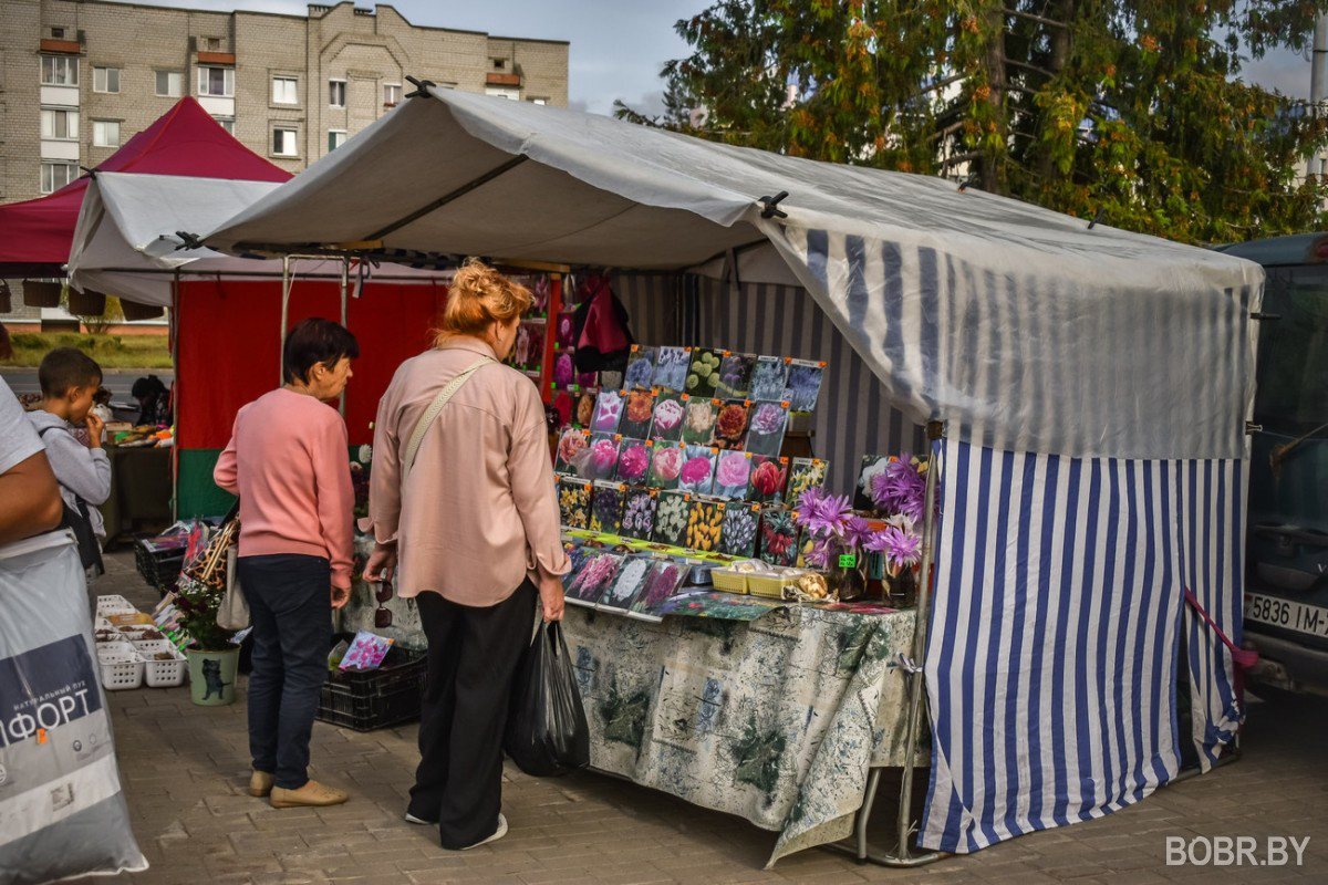 В Бобруйске вовсю продолжается сезон ярмарок!