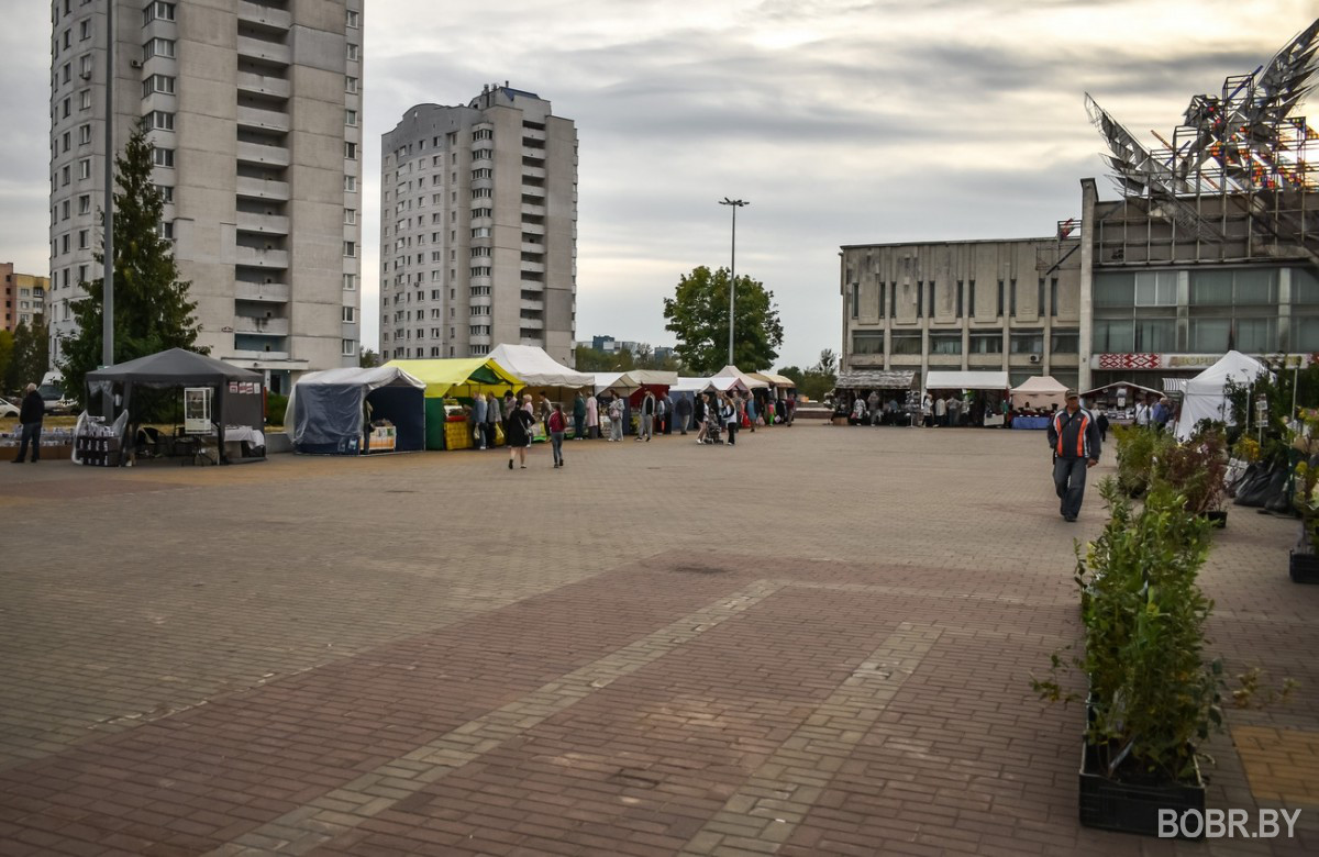 В Бобруйске вовсю продолжается сезон ярмарок!