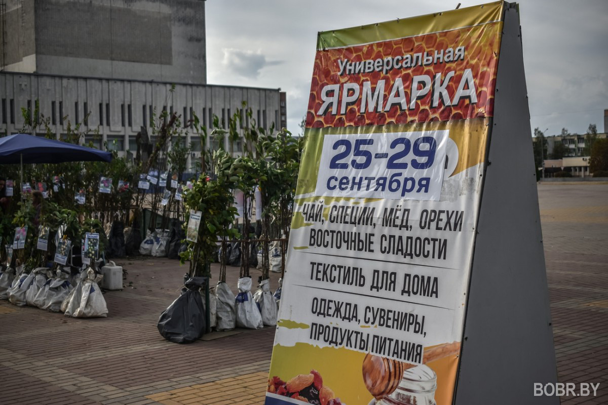 В Бобруйске вовсю продолжается сезон ярмарок!