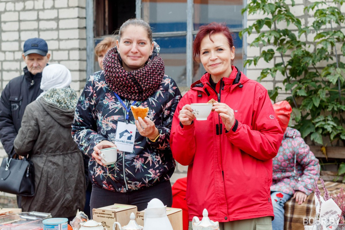 «Изначально планировались только шарлотки». В приюте «Собачье сердце» прошла благотворительная акция