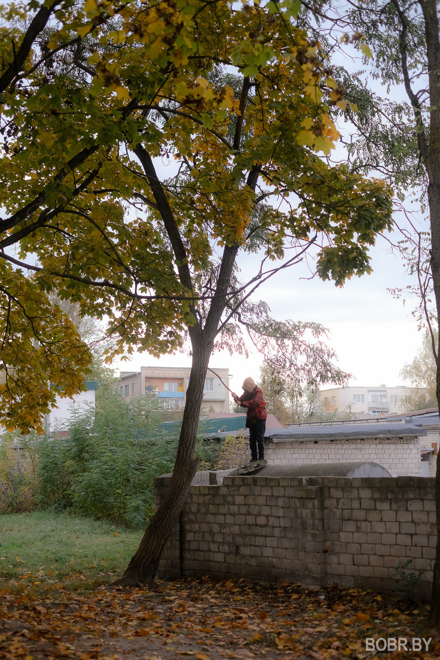 В фоторепортаже мы прогулялись по улицам Бобруйска, запечатлев очарование осени в объективе.