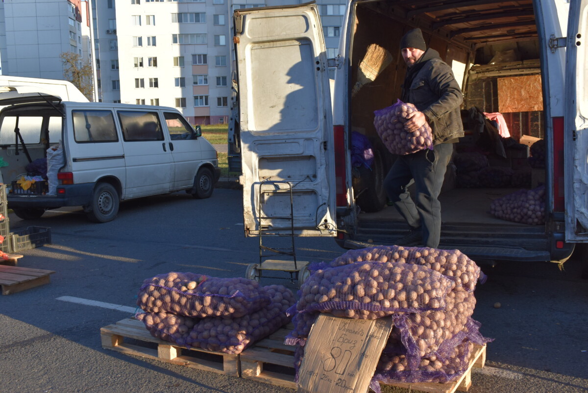 «Золотая осень»