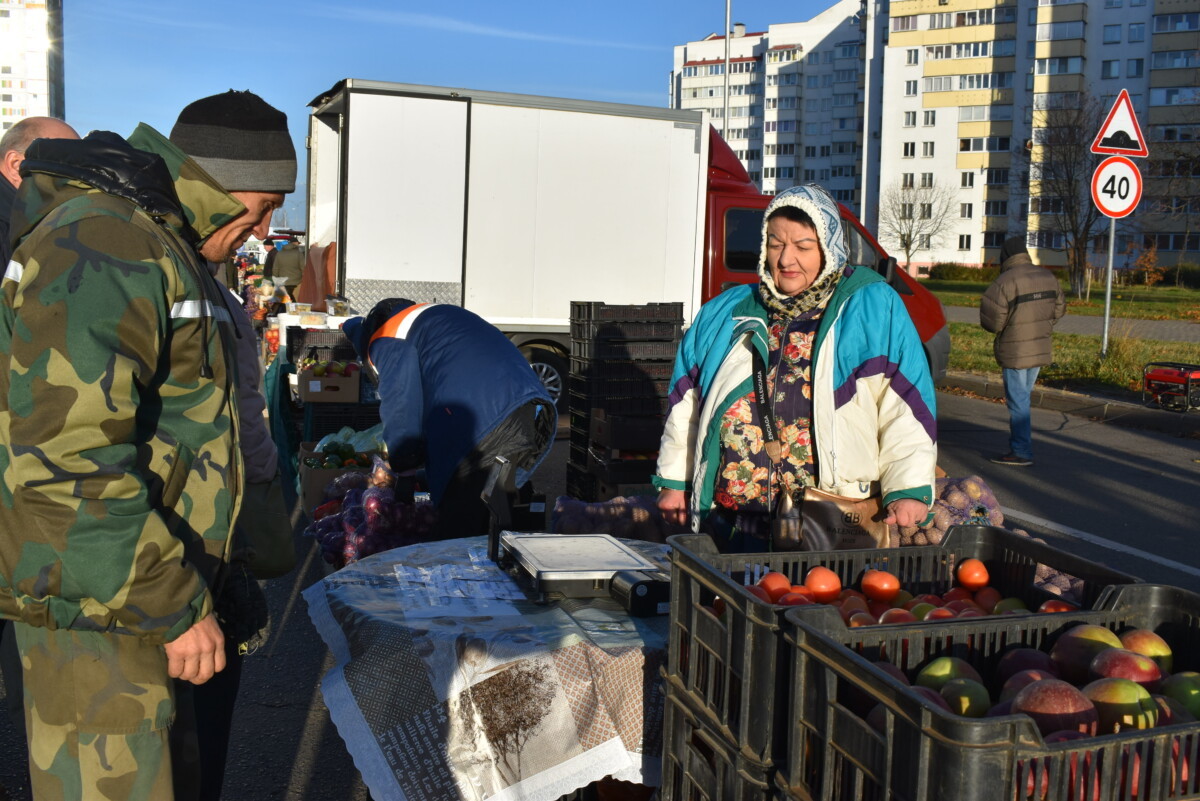 «Золотая осень»