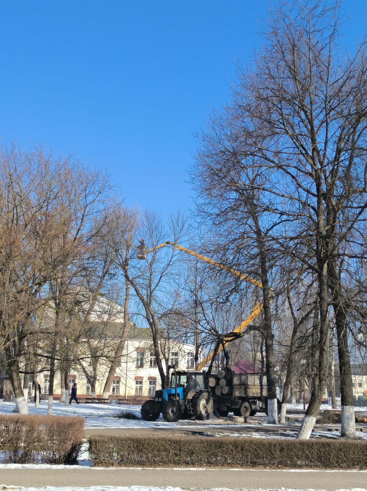 обрезка деревьев на площади Победы