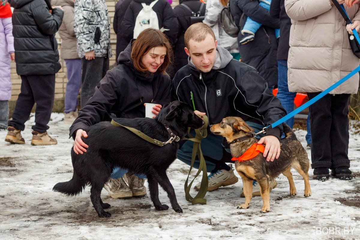 Благотворительная ярмарка блинов в приюте 