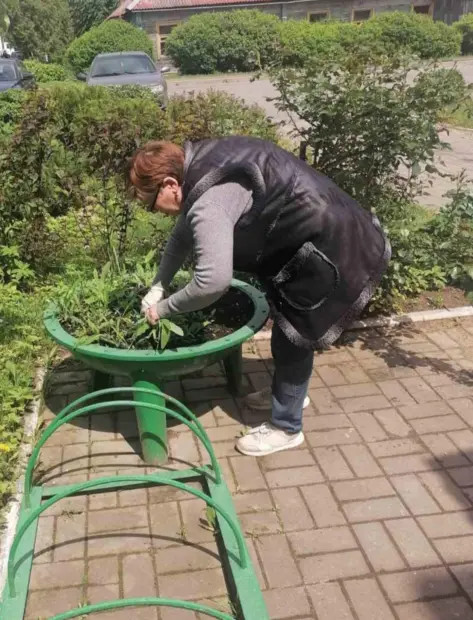 Наведение порядка в Бобруйском районе