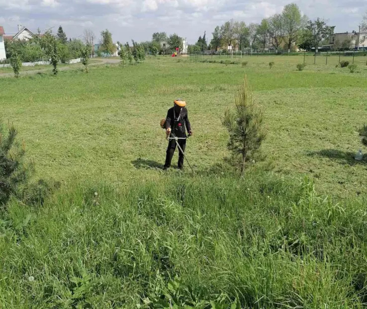 Наведение порядка в Бобруйском районе