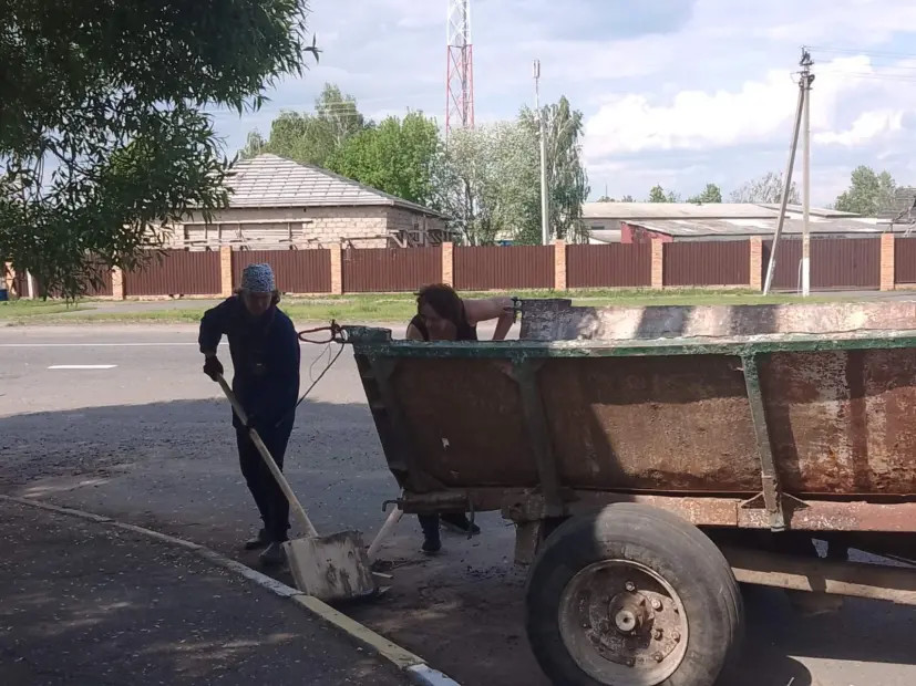 Наведение порядка в Бобруйском районе
