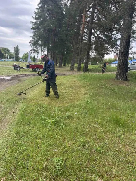 Наведение порядка в Бобруйском районе