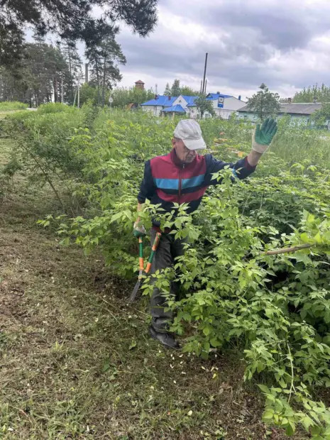 Наведение порядка в Бобруйском районе