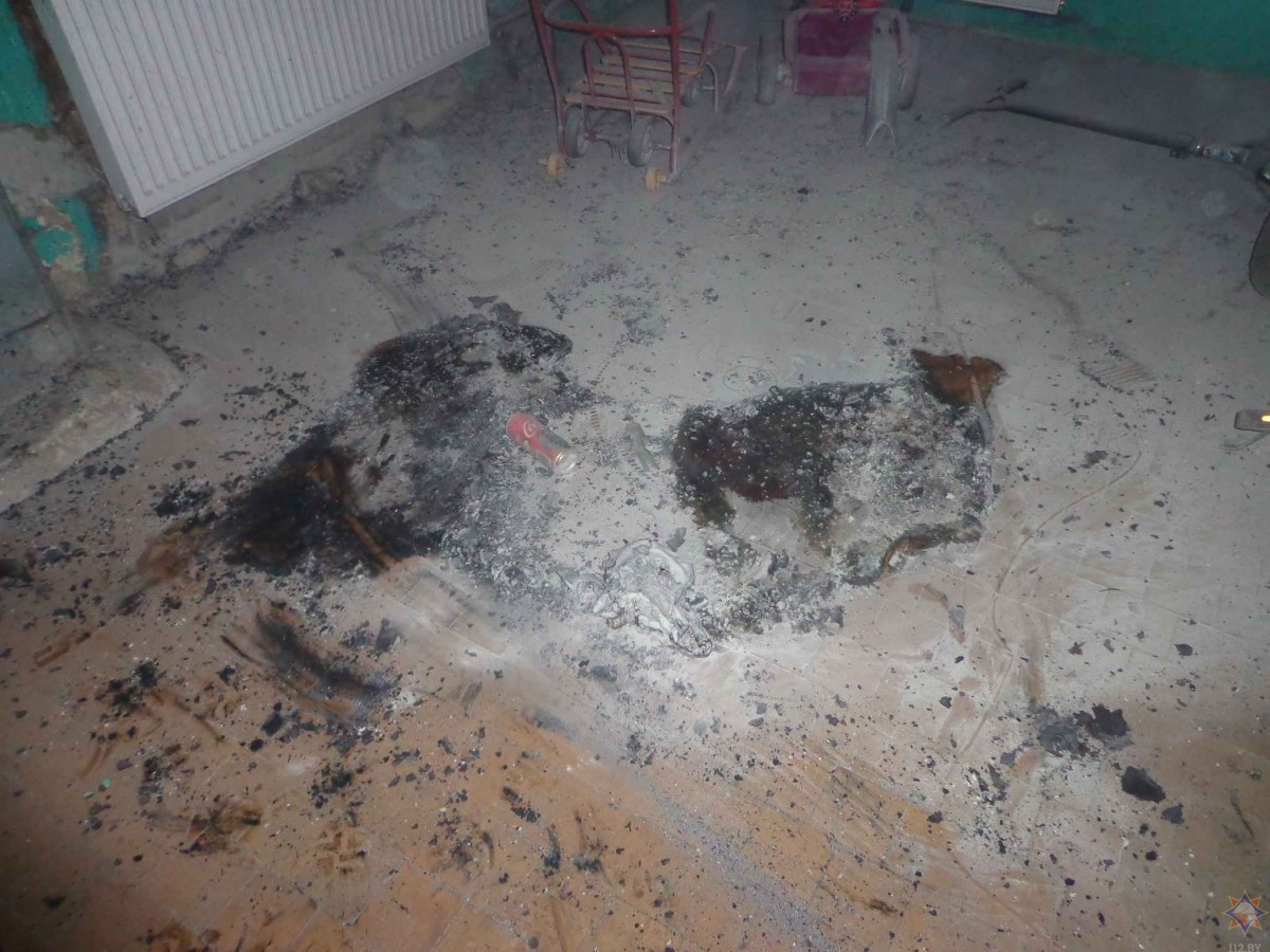 Пожар в подъезде на Орджоникидзе, Бобруйск
