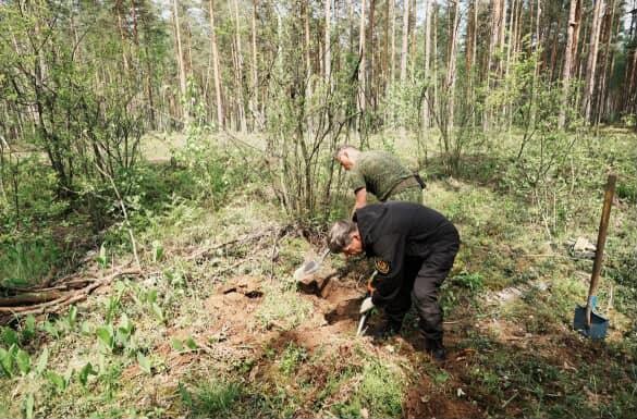 В Осиповичском районе стартовала масштабная поисковая экспедиция «Бобруйский котел» В Осиповичском районе стартовала масштабная поисковая экспедиция «Бобруйский котел»