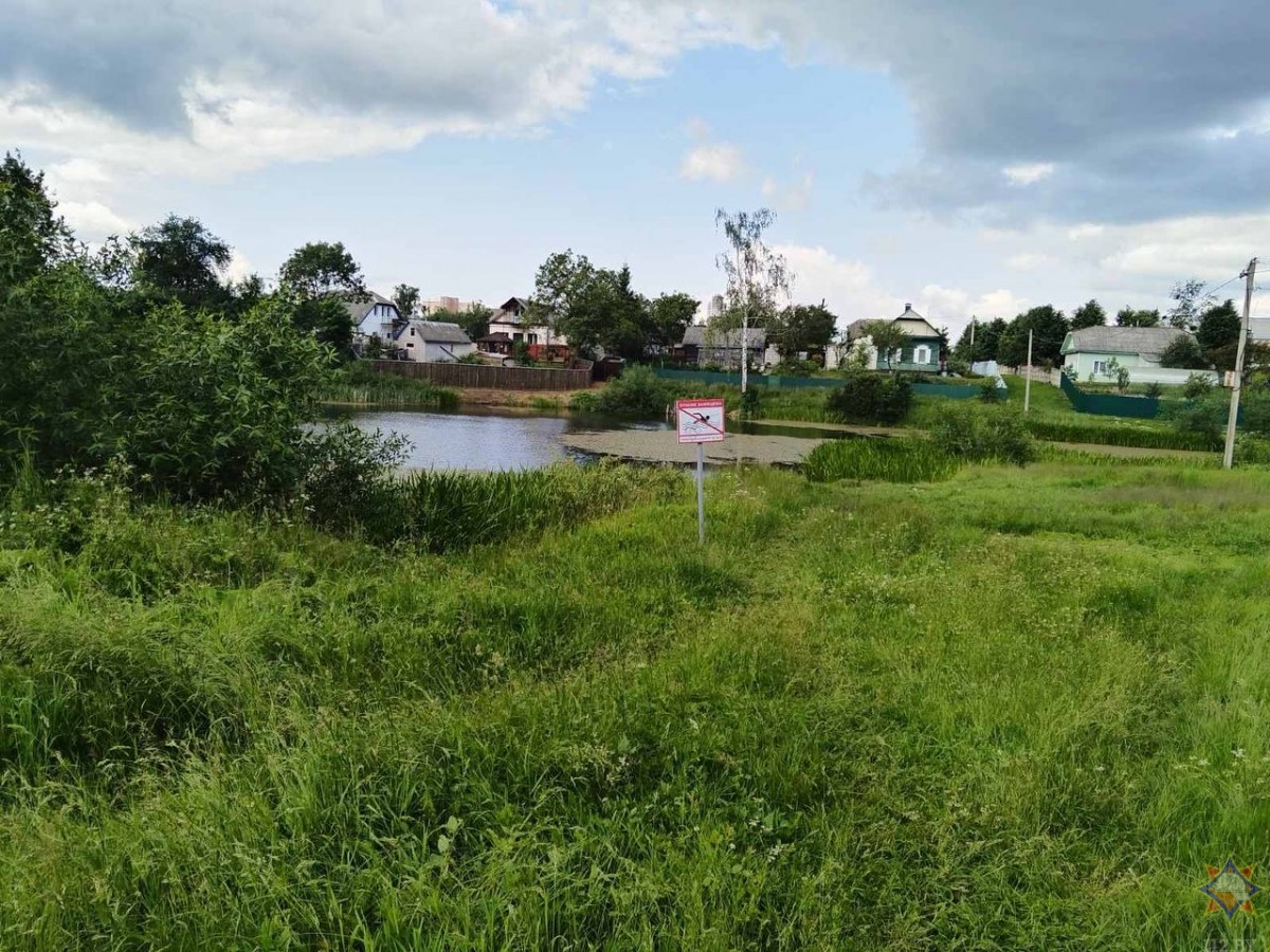 Бобруйчанин спас пенсионерку