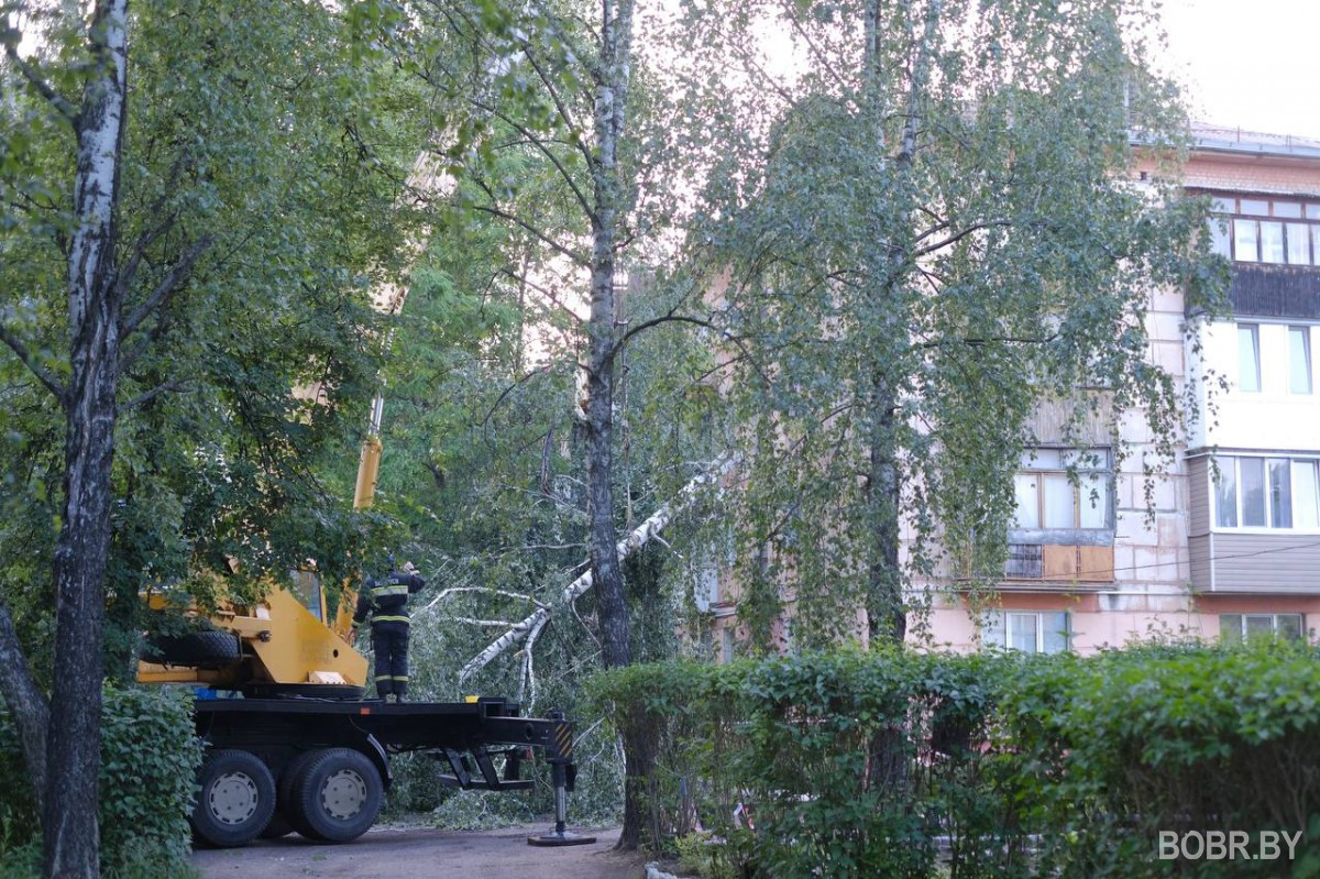 последствия непогоды в Бобруйске