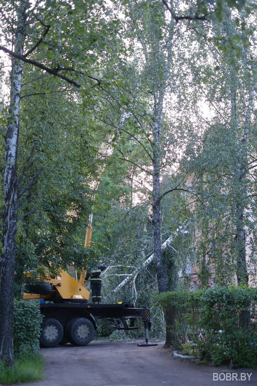 последствия непогоды в Бобруйске