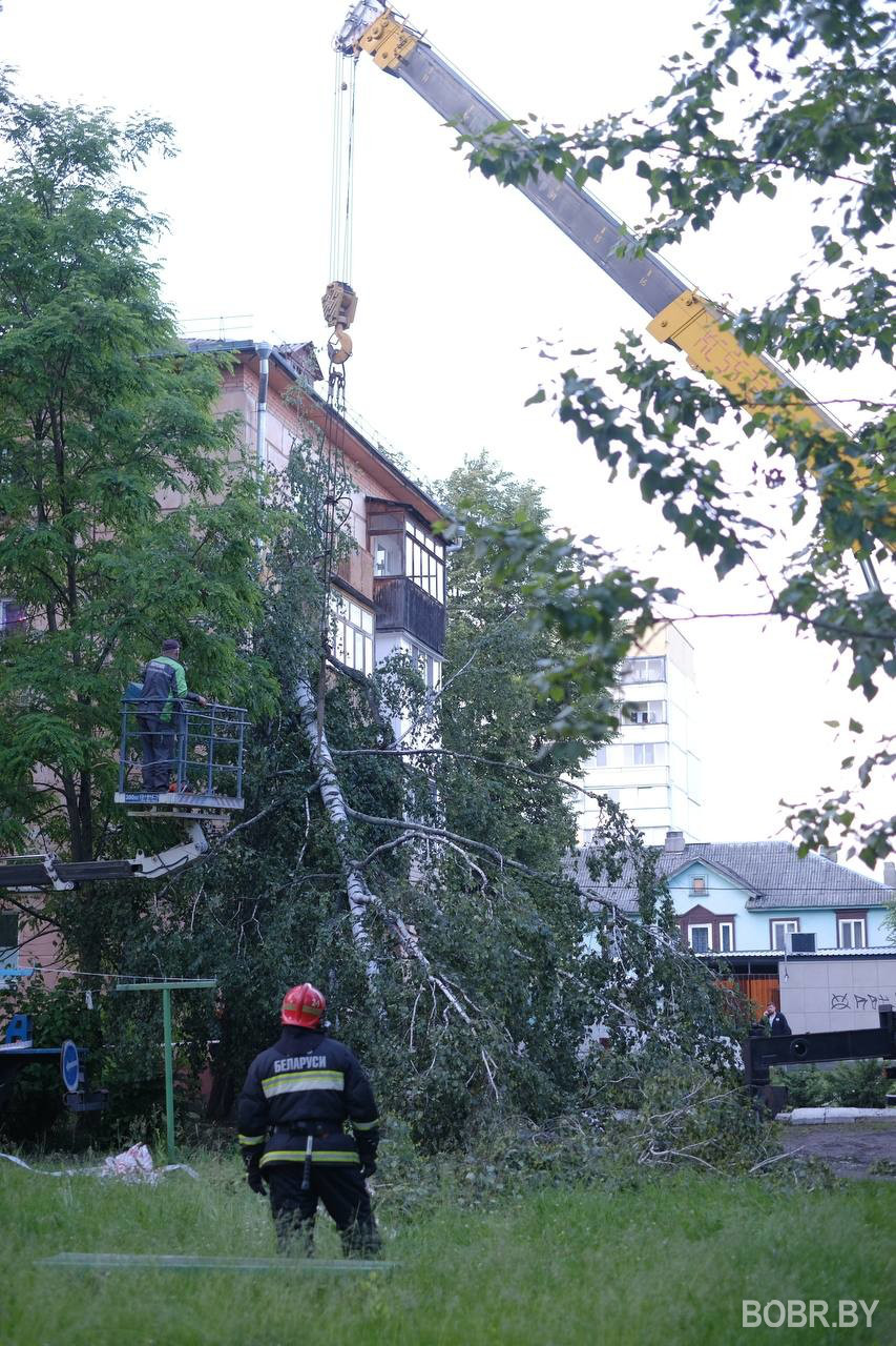 последствия непогоды в Бобруйске