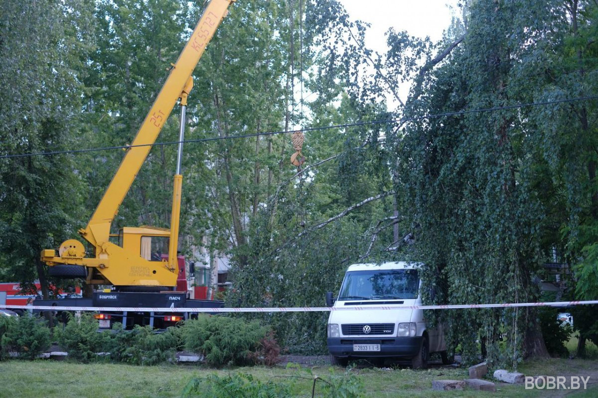 последствия непогоды в Бобруйске