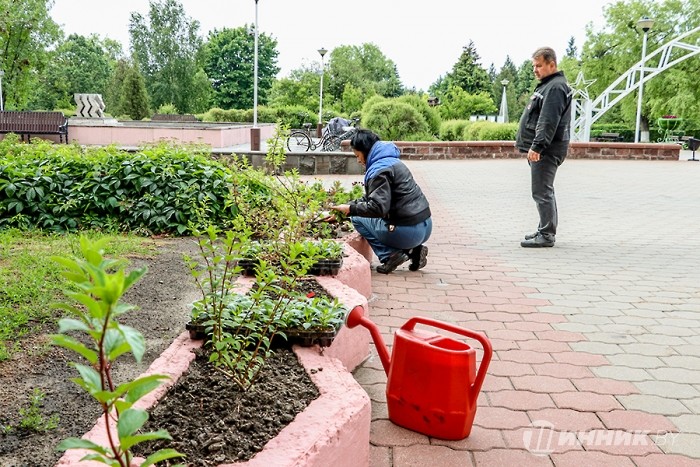 На «Белшине» появились «растения тысячи цветов». А что попало под «омоложение»?