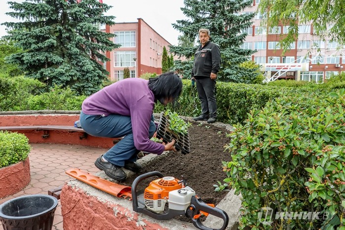 На «Белшине» появились «растения тысячи цветов». А что попало под «омоложение»?