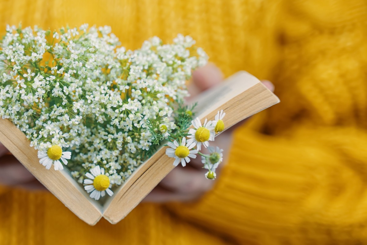 книги для отпуска