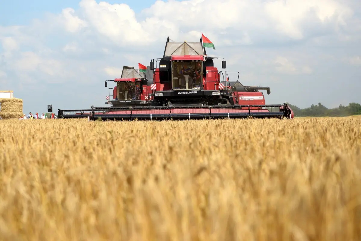 Свята першага снапа. У Бабруйскім раёне прайшлі «Зажынкі»