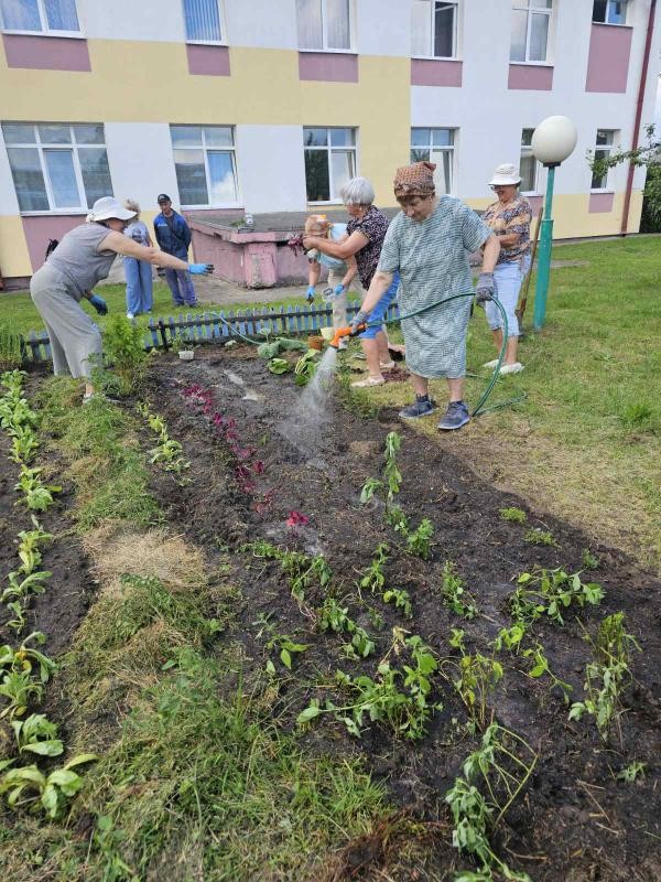 Волонтерами «серебряного возраста» создана аптека на грядках