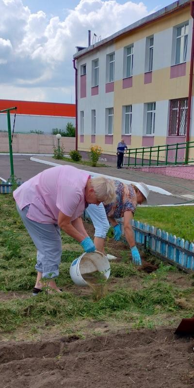 Волонтерами «серебряного возраста» создана аптека на грядках