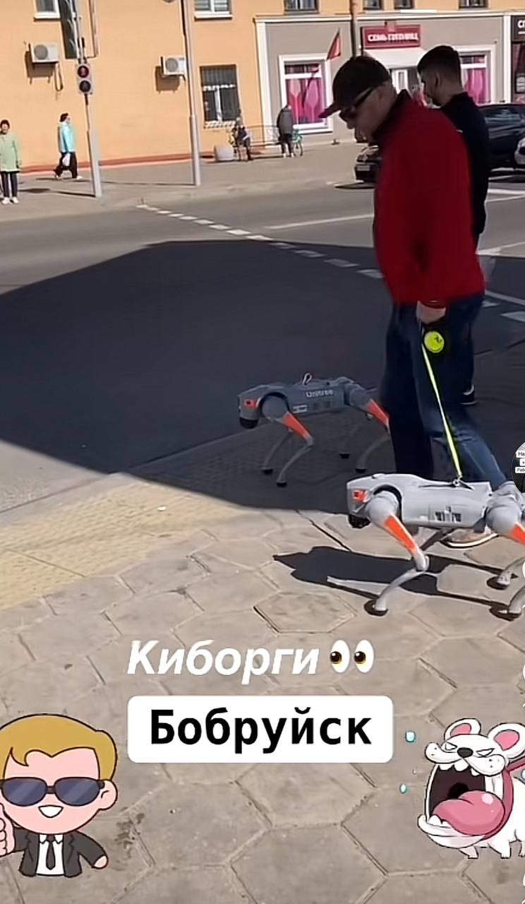 Робопсы замечены на переходе в Бобруйске. А как горожане реагируют на цифровых питомцев?