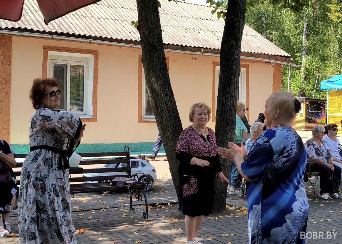 «Золотая тёща» – выбрана!